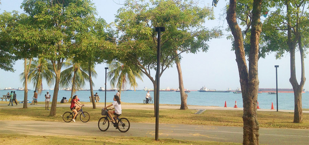 Royal Hallmark is close to East Coast Park, where you can take a leisurely bike ride on weekends